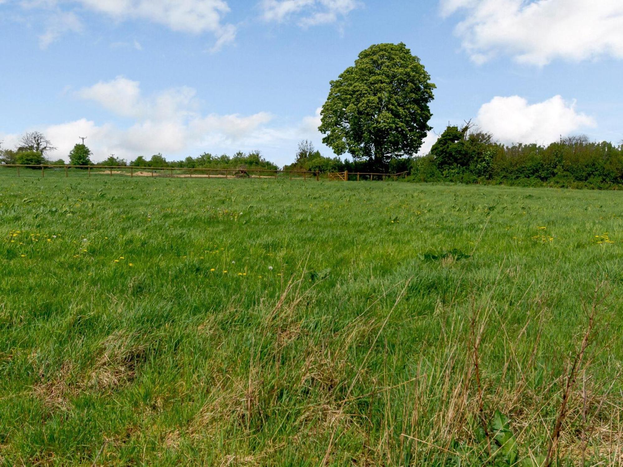 Primrose Villa Shepton Mallet Bagian luar foto
